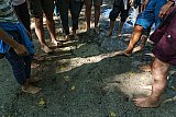 Con la Terra sotto i piedi (nudi)