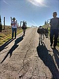 A Spasso con l'Asino