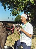 A Spasso con l'Asino