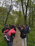 Passeggiata tra i ciliegi in fiore