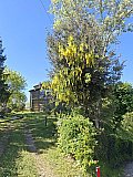 Antiche vie per Monte Battaglia