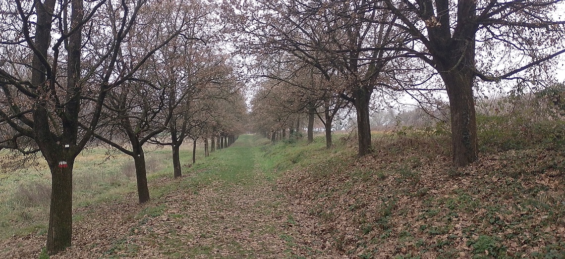 080226_Di_colle_in_colle