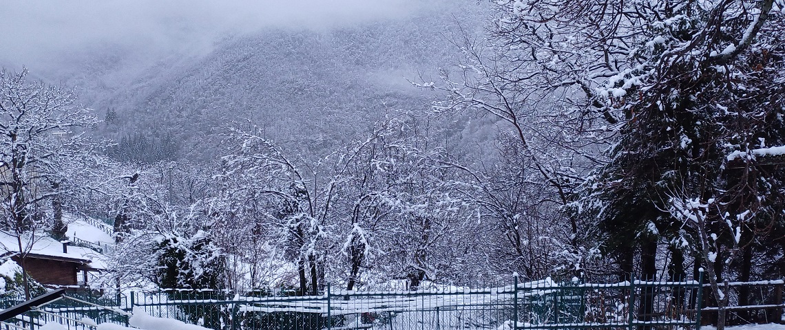 Il_Bosco_che_Dorme_-_22225