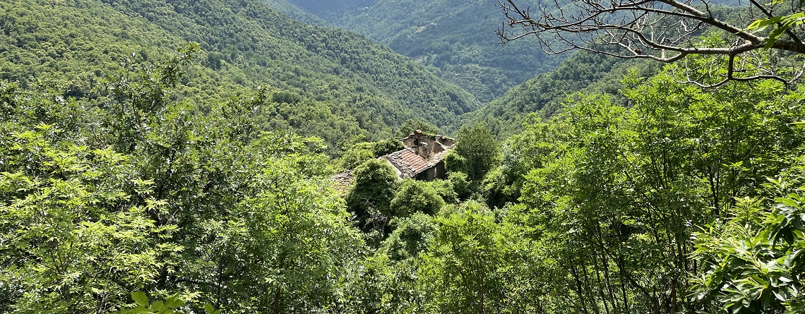 chiapporato