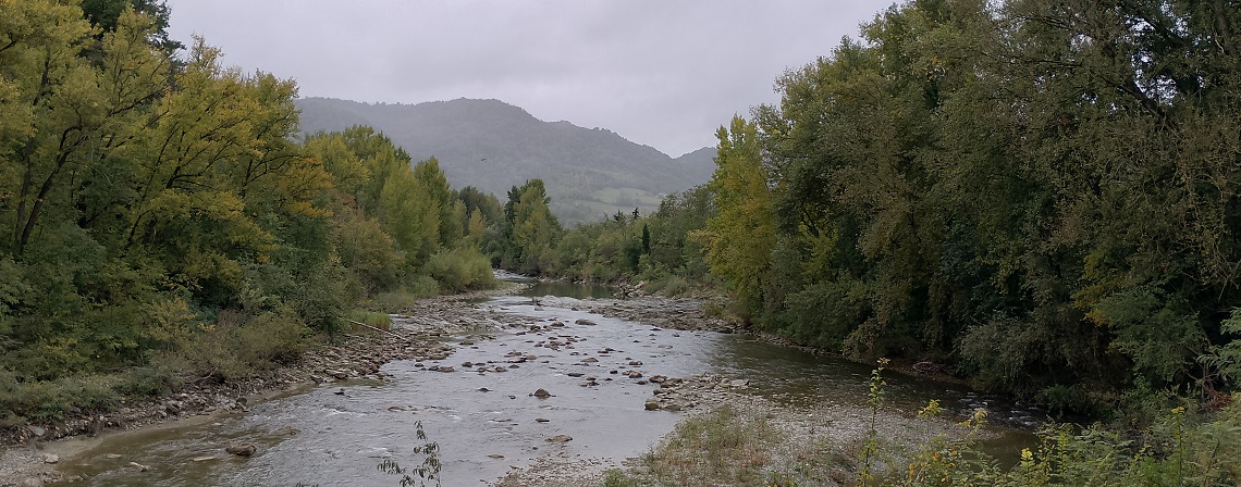 250126_Seguendo_il_Reno