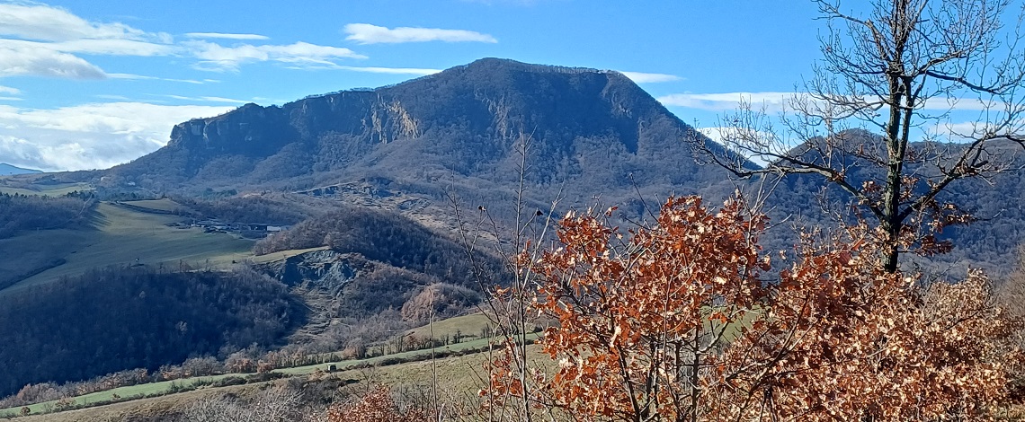 Il_Risveglio_del_Bosco_-_15326