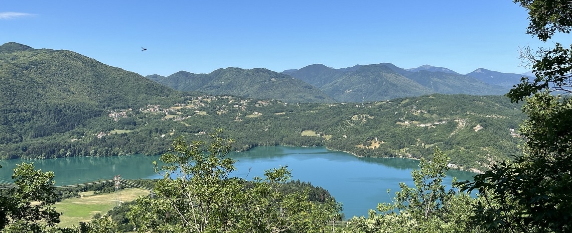 bargi