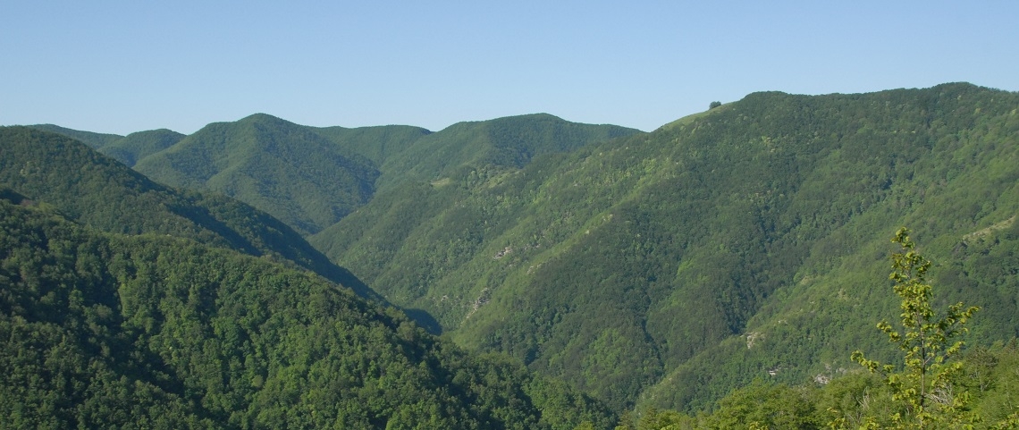 DSC_0061JPG