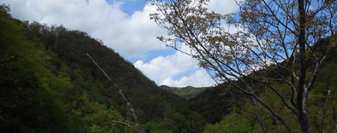 DSCN1105_copia_2
