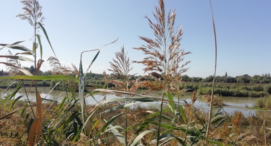 IMG_20190929_123320