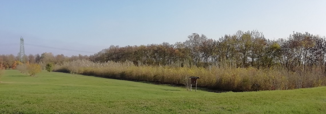 IMG_20191110_101938